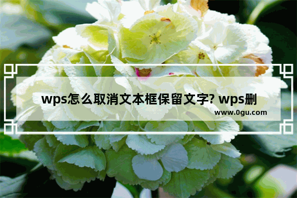 wps怎么取消文本框保留文字? wps删除文本框留文字的技巧