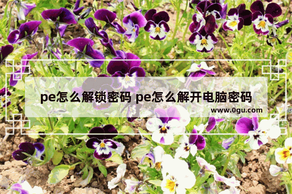 pe怎么解锁密码 pe怎么解开电脑密码