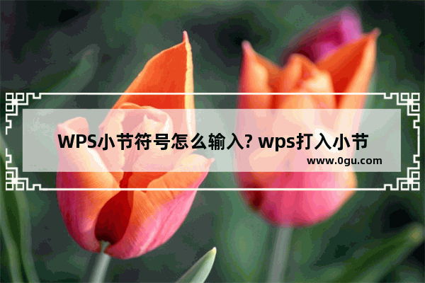 WPS小节符号怎么输入? wps打入小节符号的教程