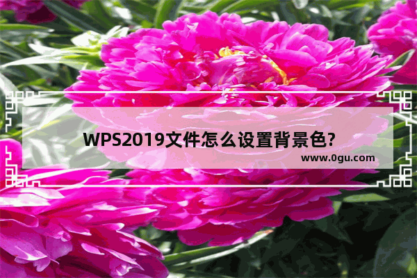 WPS2019文件怎么设置背景色?