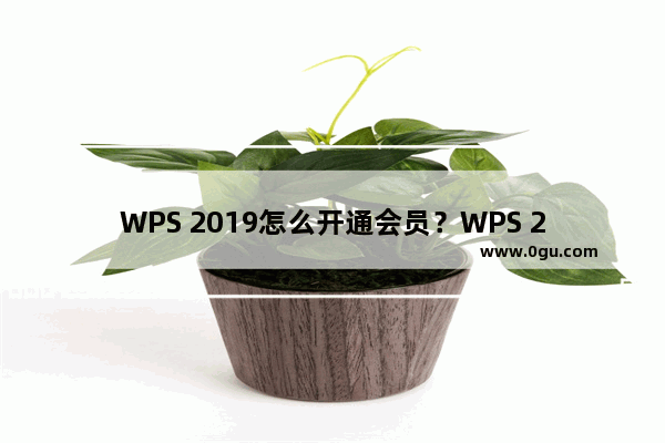 WPS 2019怎么开通会员？WPS 2019开通会员教程