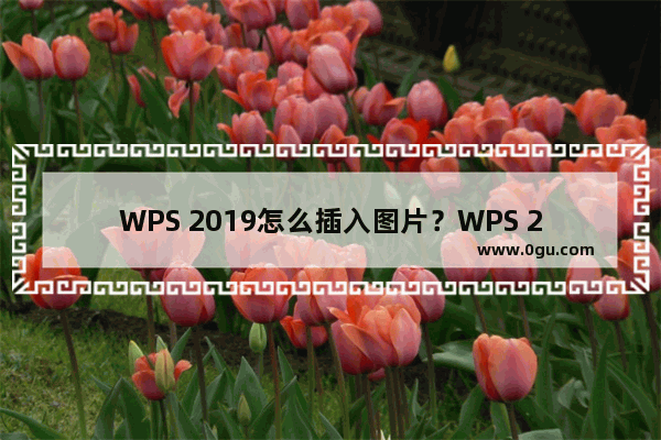 WPS 2019怎么插入图片？WPS 2019表格插入图片教程