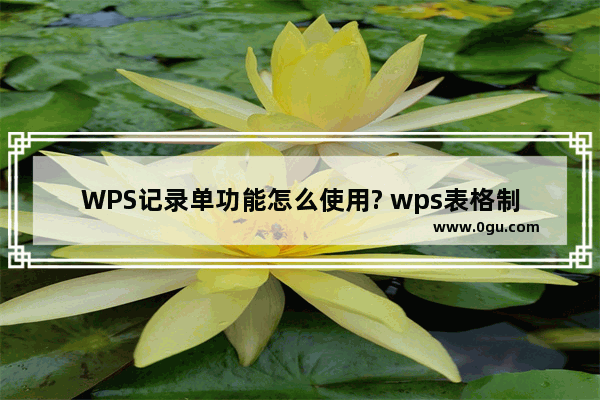 WPS记录单功能怎么使用? wps表格制作记录单的教程