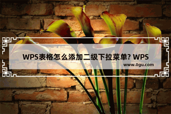 WPS表格怎么添加二级下拉菜单? WPS表格添加下拉菜单的教程