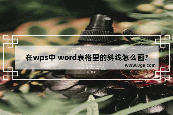 在wps中 word表格里的斜线怎么画?