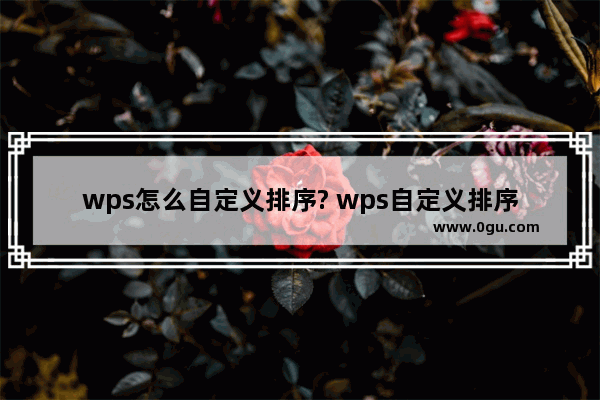 wps怎么自定义排序? wps自定义排序的教程