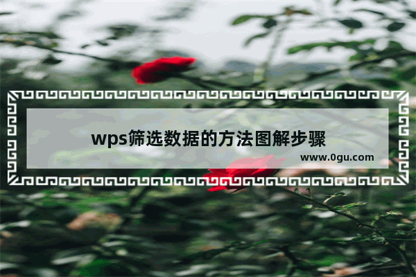 wps筛选数据的方法图解步骤