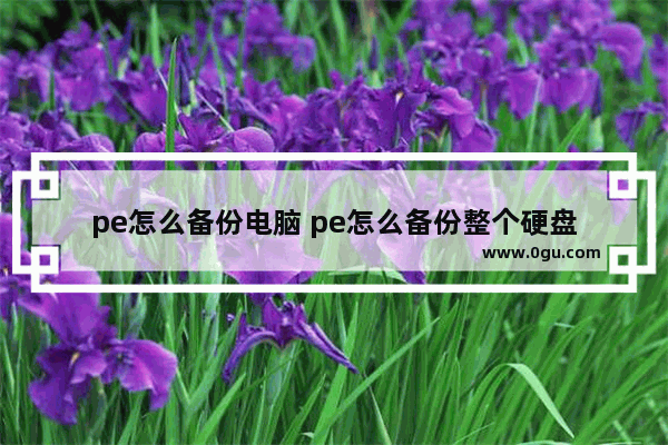 pe怎么备份电脑 pe怎么备份整个硬盘