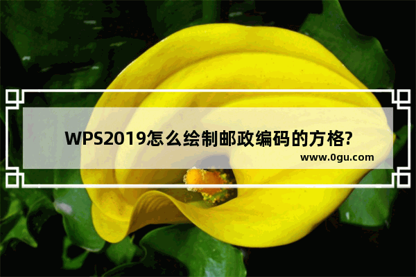 WPS2019怎么绘制邮政编码的方格?