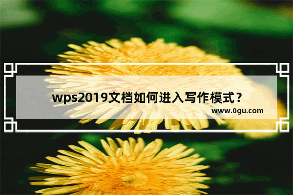 wps2019文档如何进入写作模式？