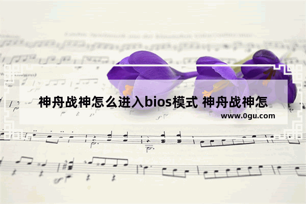 神舟战神怎么进入bios模式 神舟战神怎么进入bios模式设置