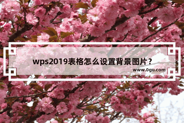 wps2019表格怎么设置背景图片？