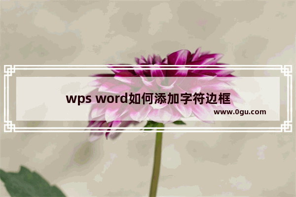 wps word如何添加字符边框