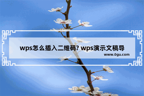 wps怎么插入二维码? wps演示文稿导入二维码的教程