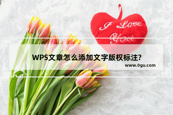 WPS文章怎么添加文字版权标注?