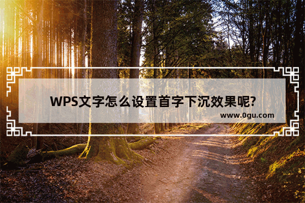 WPS文字怎么设置首字下沉效果呢?