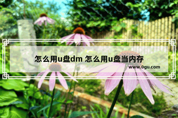 怎么用u盘dm 怎么用u盘当内存