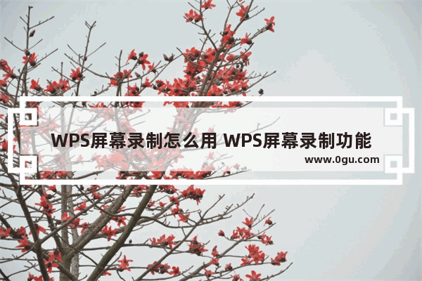 WPS屏幕录制怎么用 WPS屏幕录制功能使用方法