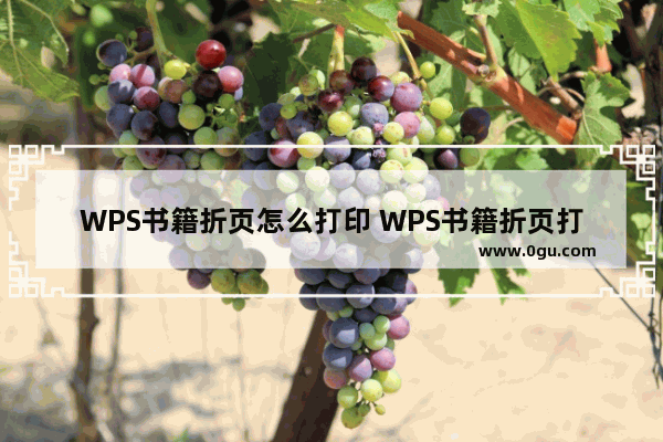 WPS书籍折页怎么打印 WPS书籍折页打印方法