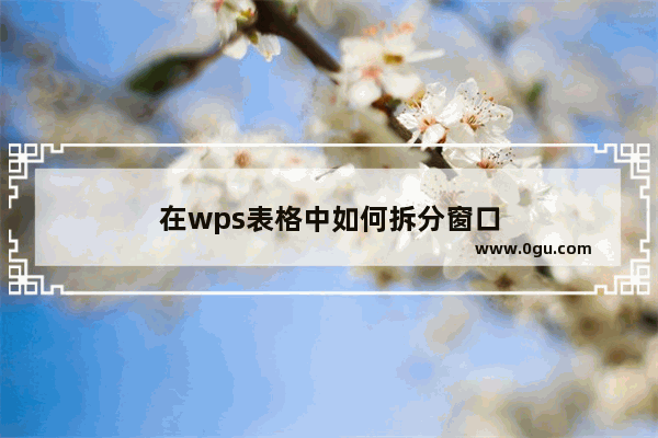 在wps表格中如何拆分窗口