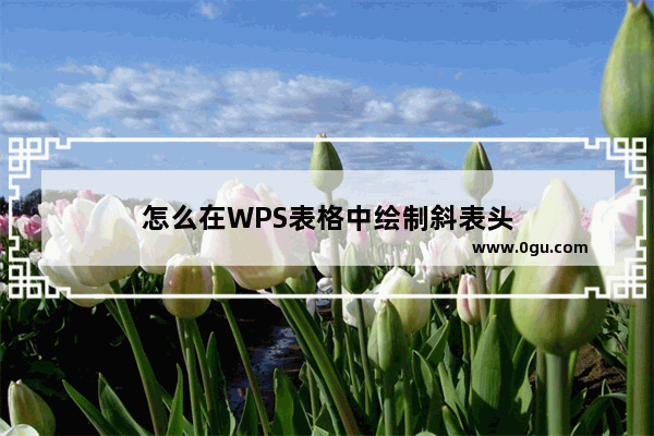 怎么在WPS表格中绘制斜表头