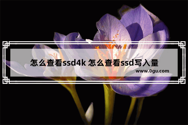 怎么查看ssd4k 怎么查看ssd写入量