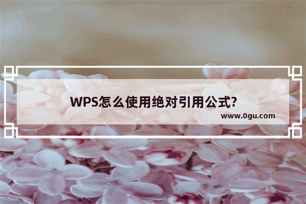 WPS怎么使用绝对引用公式?