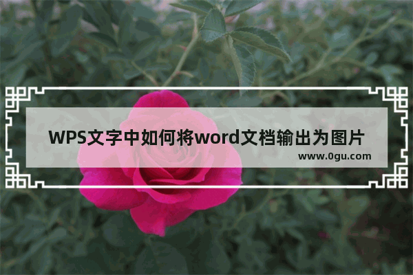 WPS文字中如何将word文档输出为图片或长微博？