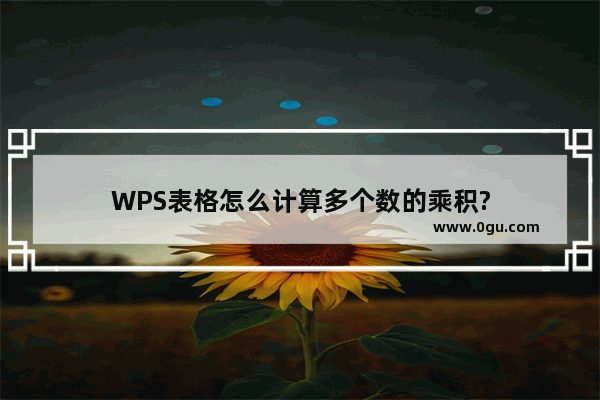 WPS表格怎么计算多个数的乘积?