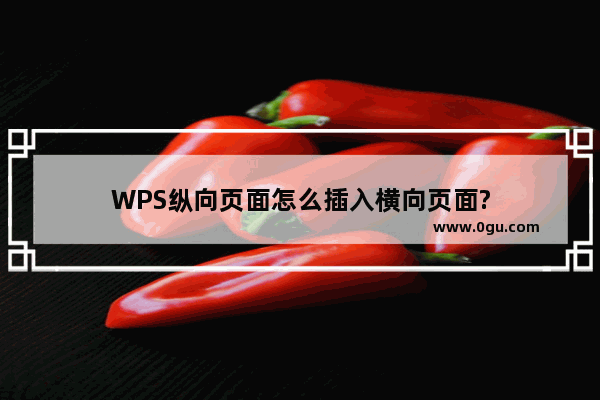 WPS纵向页面怎么插入横向页面?