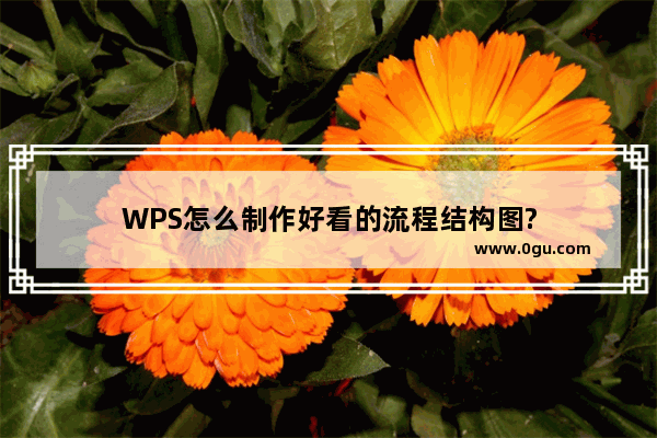 WPS怎么制作好看的流程结构图?