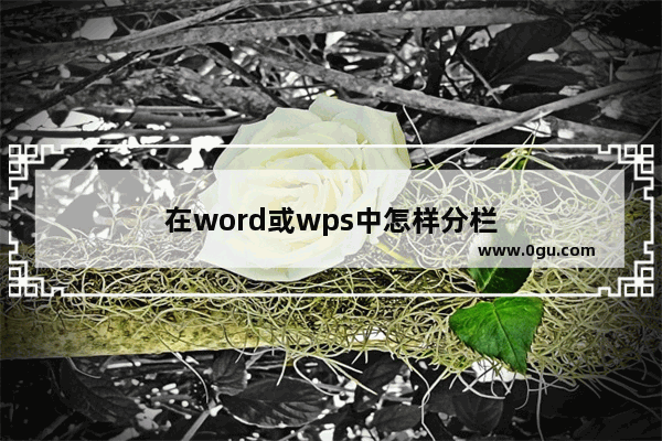 在word或wps中怎样分栏