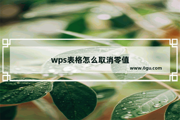 wps表格怎么取消零值