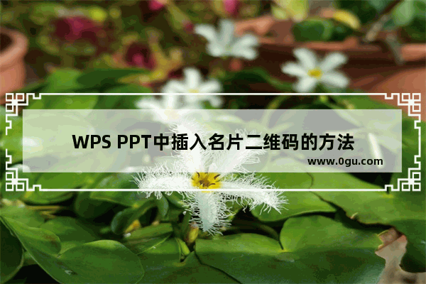 WPS PPT中插入名片二维码的方法