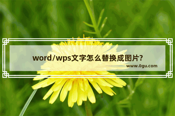 word/wps文字怎么替换成图片?