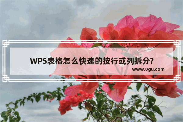 WPS表格怎么快速的按行或列拆分?