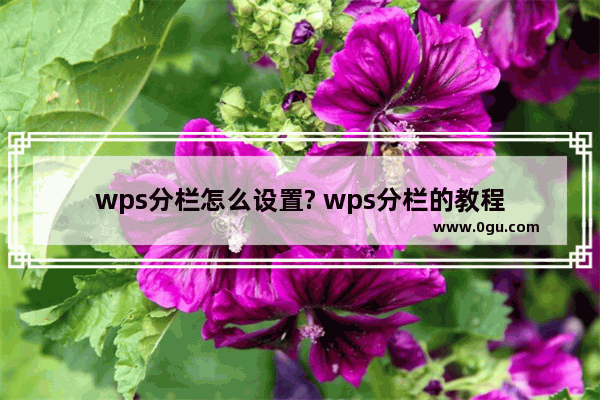 wps分栏怎么设置? wps分栏的教程