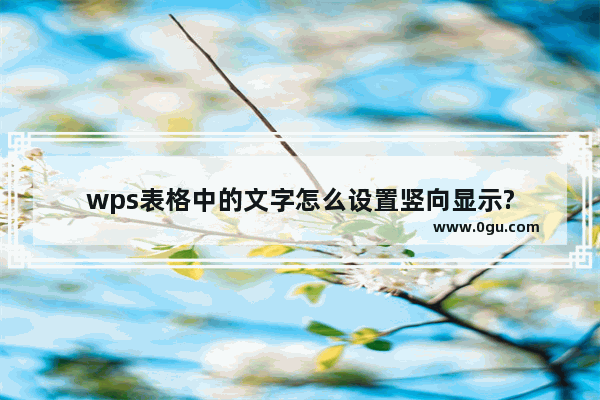 wps表格中的文字怎么设置竖向显示?