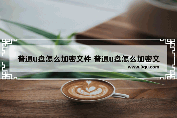 普通u盘怎么加密文件 普通u盘怎么加密文件