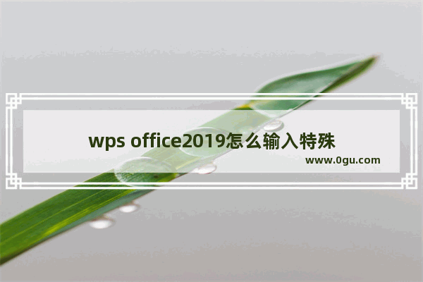 wps office2019怎么输入特殊符号?