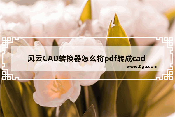 风云CAD转换器怎么将pdf转成cad 风云CAD转换器把PDF转换成CAD文件的方法