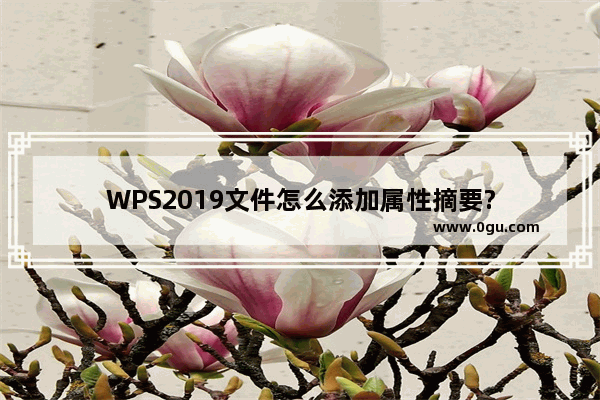 WPS2019文件怎么添加属性摘要?