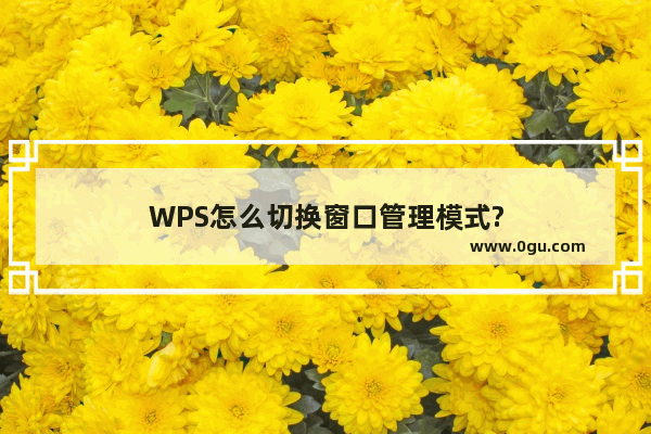 WPS怎么切换窗口管理模式?