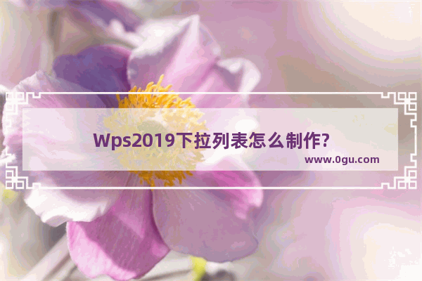 Wps2019下拉列表怎么制作?