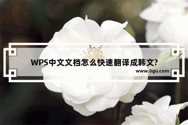 WPS中文文档怎么快速翻译成韩文?