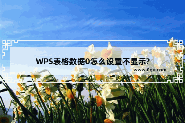 WPS表格数据0怎么设置不显示?