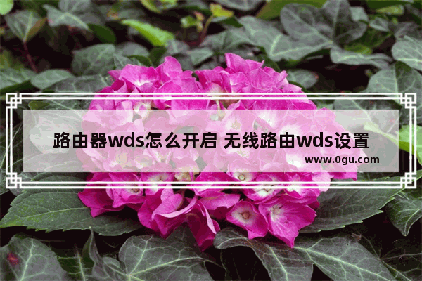 路由器wds怎么开启 无线路由wds设置方法