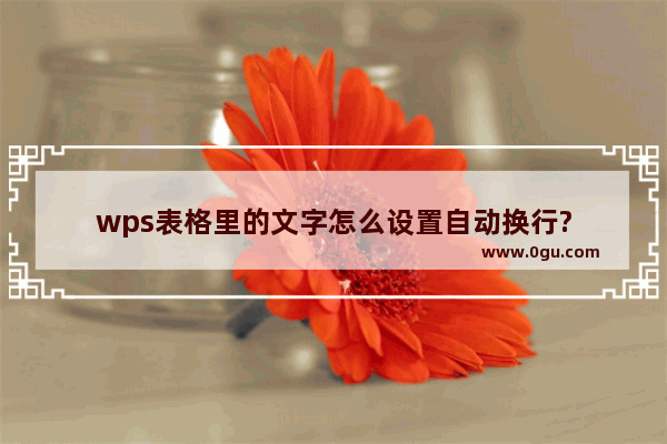 wps表格里的文字怎么设置自动换行?