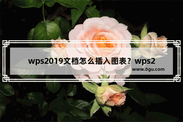 wps2019文档怎么插入图表？wps2019文档插入图表教程