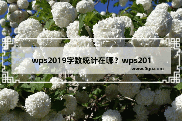 wps2019字数统计在哪？wps2019统计字数教程